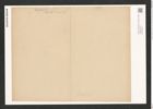 Campylodiscus stellatus Grev. (de-Toni-Nr.: Genus 57, Species 2492) Zeichnungen Sammlung Grunow (NHMW-BOT-W0373246)